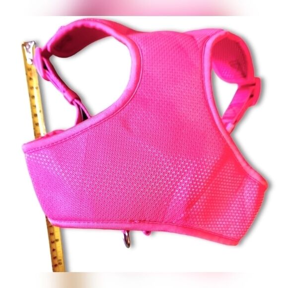 Small Dog Harness and Cheer Costume - Picture 6 of 8